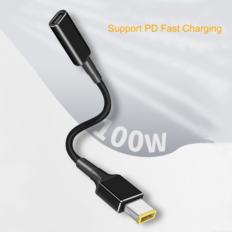 PD 100W Type C to Universal No - Laptop Lock Cable avis et prix