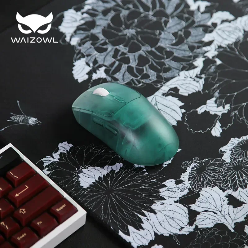 Waizowl OGM Pro Wireless Mouse - Laptop Accessories Design avis et prix
